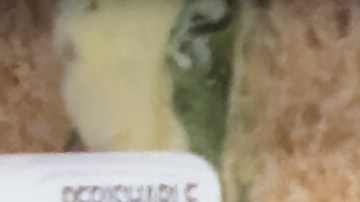Retiran ensaladas y queso crema de Made Fresh Salads.