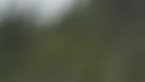 Ciudad de México, 7 de octubre de 2024. Rafael Márquez, auxiliar técnico, durante un entrenamiento de la Selección Nacional de México previo a sus partidos amistosos contra Valencia y Estados Unidos, celebrado en el Centro de Alto Rendimiento de la FMF. Foto: Imago7/