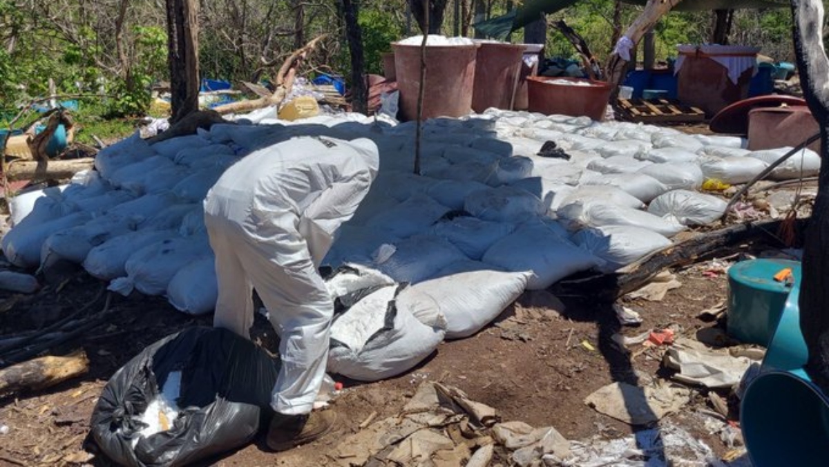 La DEA asegura que sus labores de inteligencia permitieron a México desmantelar 8 narcolaboratorios