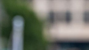 Lara Trump, nuera del actual presidente de la nación