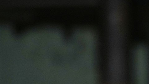 Ron DeSantis, gobernador de Florida