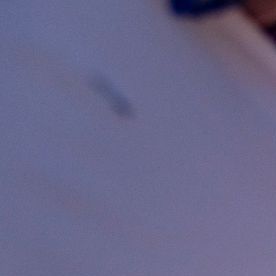 Salvadoreños con TPS podrían enfrentar un nuevo golpe migratorio bajo el gobierno de Trump.