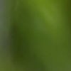 Ty Cobb, exabogado de la Casa Blanca