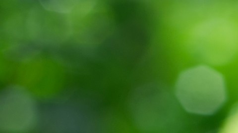 Beber 8 vasos de agua al día no es obligatorio: la ciencia desmonta un mito con más de 80 años de historia