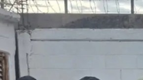 Violencia en Sinaloa