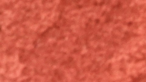 "Coyote vs. Acme" supera los 12 millones de dólares en taquilla en México.