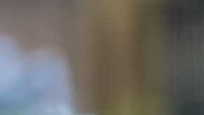 Las flores se asocian la personalidad de los meses, según interpretaciones astrológicas.