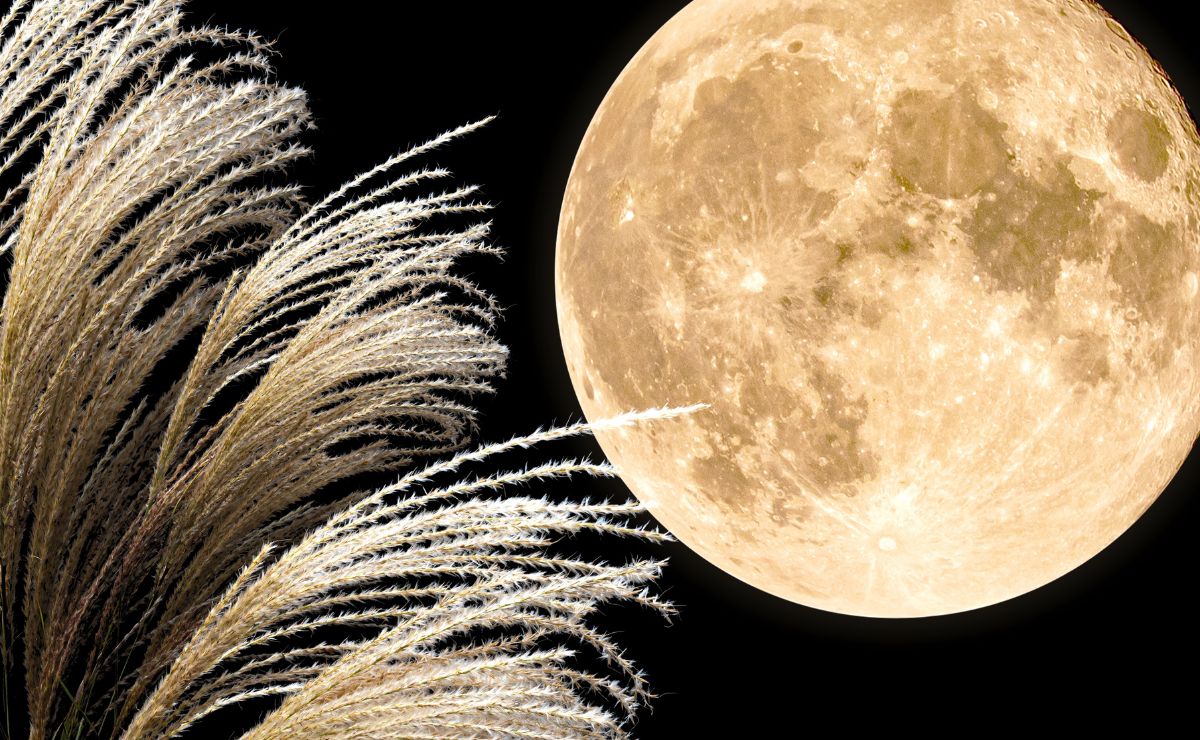 La Luna llena de la Cosecha es la primera del otoño: cómo impacta tu horóscopo