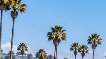 Tren de pasajeros recorre la costa del sur de California junto al mar, con playas, acantilados y palmeras en un día soleado.