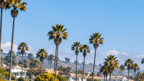 Tren de pasajeros recorre la costa del sur de California junto al mar, con playas, acantilados y palmeras en un día soleado.