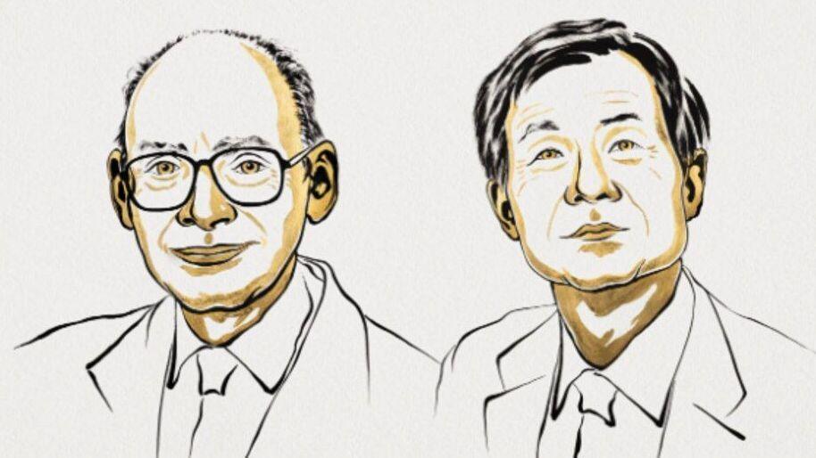 Premian con el Nobel de Química a dos investigadores que revolucionaron la fabricación de medicamentos, fragancias y nuevos materiales