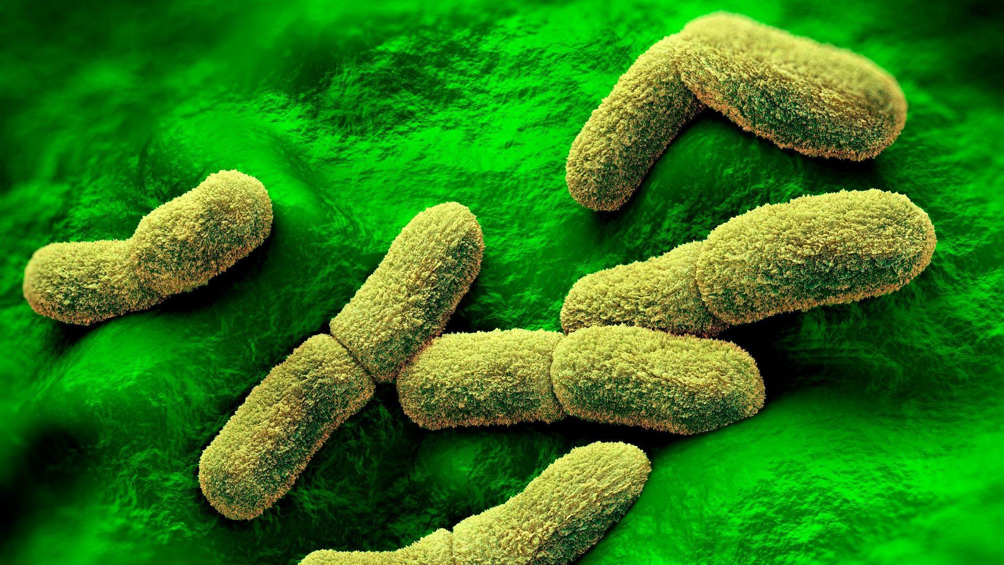Qué se sabe del caso de la científica rusa que falleció en un centro de investigación de la peste en Siberia
