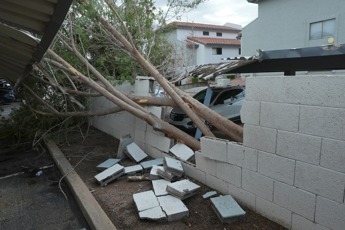 Posible tornado derriba árboles y daña viviendas en Arizona durante una serie de tormentas severas