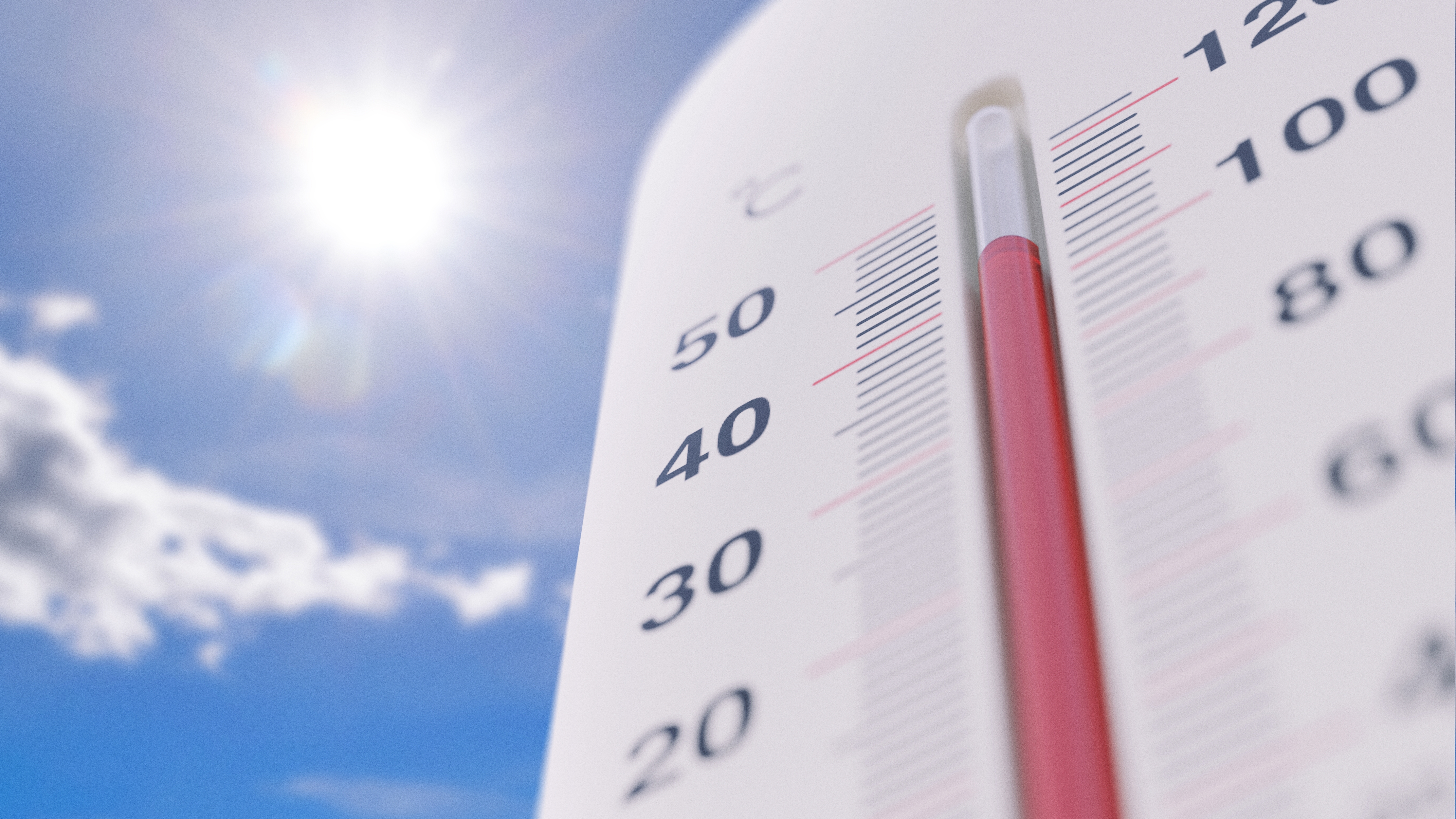 Calor en Los Ángeles podría superar los 100° F este fin de semana