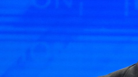 Chris Christie, ex aspirante a candidato presidencial republicano