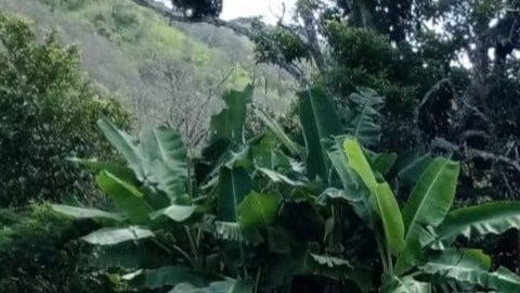 Fosa clandestina