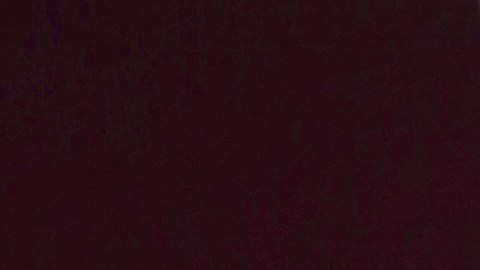 ¿Exceso de confianza? Esto dijo Galilea Montijo sobre la sorpresiva eliminación de Yahir