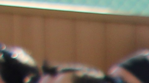 Miembros de ACCE respaldan al candidato guatemalteco Estuardo Mazariegos.