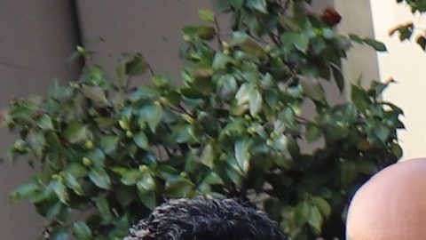 Tristeza, solidaridad y también interrogantes abundaron durante una vigilia para honrar la memoria de Xavier Nungarary, un estudiante de la escuela secundaria Franklin en Highland Park, Los Ángeles, quien murió un día antes.