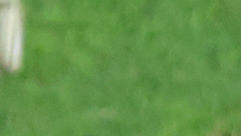 Zapopan, Jalisco, 21 de noviembre de 2024. , durante el partido correspondiente al Play In del torneo Apertura 2024 de la Liga BBVA MX, entre las Chivas Rayadas del Guadalajara y los Rojinegros del Atlas, celebrado en el estadio Akron. Foto: Imago7/ Juan Carlos Cubeyro.