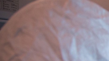 Autoridades rusas aseguran que no se han detectado casos de peste entre los contactos de la trabajadora fallecida y descartan riesgo de epidemia.