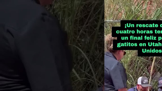 Image desc
