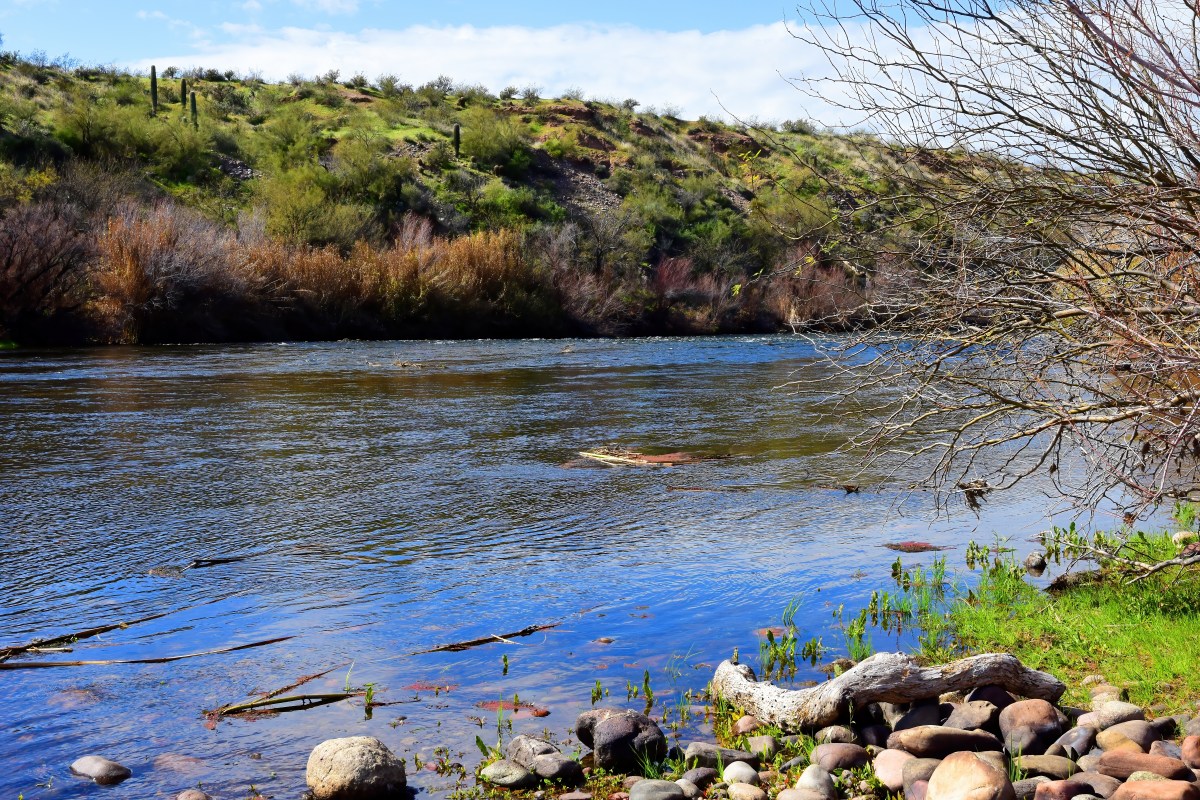 Inundaciones dejan atrapados a 65 campistas en Arizona tras destruir el acceso a su campamento